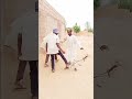 MC babatane Dan magaji #arewa #hausa #comedy