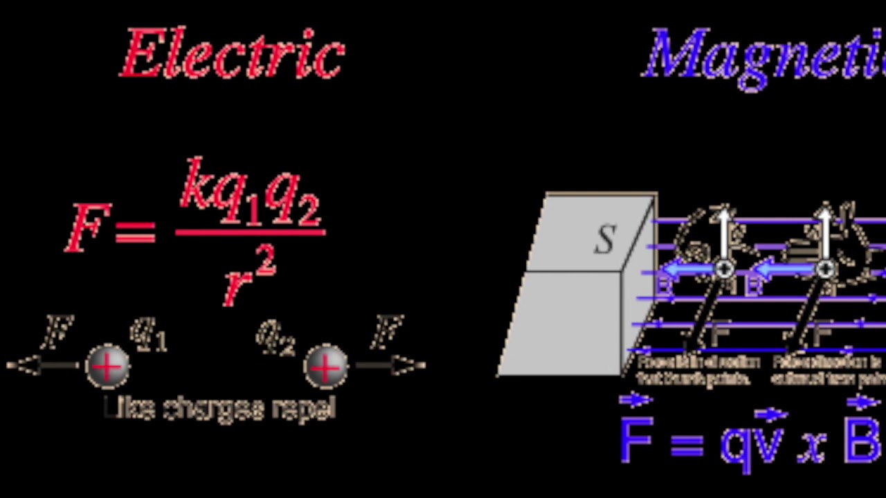 The Fundamental Forces - YouTube