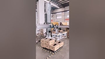 Automatic XYZ type robot hand type box palletizing machine