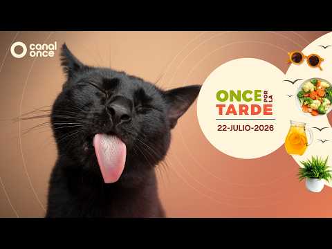 Once por la tarde (22/07/2026)