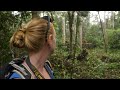 Meeting the People of the Forest in Borneo - Ep. 112