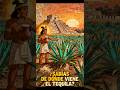 ¿SABÍAS QUE EL TEQUILA VIENE DE LOS DIOSES AZTECAS? 🌵🔥 #shortvideo #humor