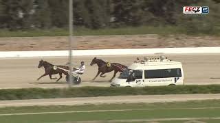 Vidéo de la course PMU PREMI KENT BARBES