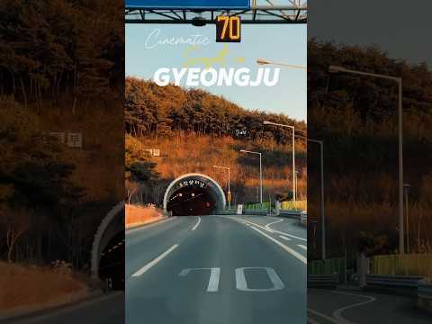 🚗경주 드라이브 #southkorea #travel #드라이브 #여기어디