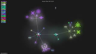 rocboss/paopao-ce - Gource visualisation
