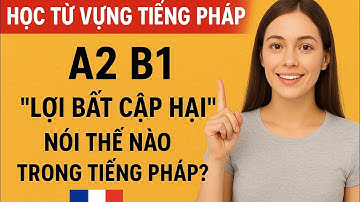 Học Từ Vựng Tiếng Pháp A2 B1 | “Lợi Bất Cập Hại” Nói Thế Nào Trong Tiếng Pháp?