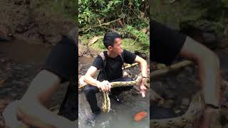 Habitat ny sangat melimpah #snake