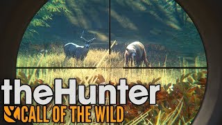 The Hunter: Call of the Wild - Самый крутой лук! купим наверное