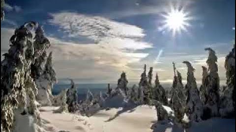 سورة العصر بصوت القاريء الشيخ محمد البراك 👍