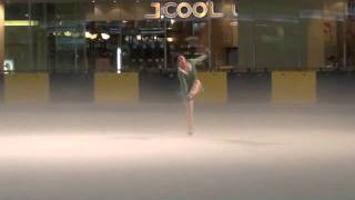 Anna Purnomo Freestyle 9 program