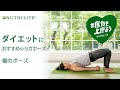 ダイエットしたい方におすすめのヨガポーズ「橋のポーズ」 体幹を強化して底力を上げよう！   - ニュートリライト™