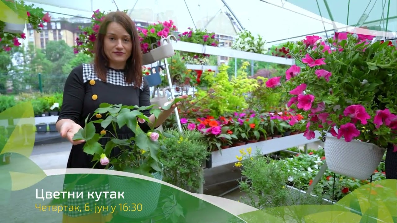 Cvetni kutak ep. 239 06.06.2024. NAJAVA