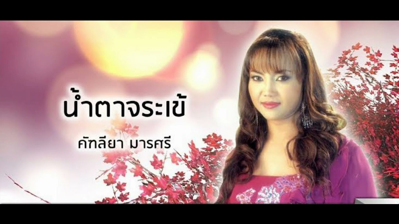 น้ำตาจระเข้ (ดนตรีฝึกร้อง ฝึกแข่งขัน)