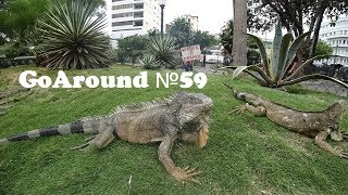 №59 Парк игуан в Гуаякиле №59 Парк игуан в Гуаякиле