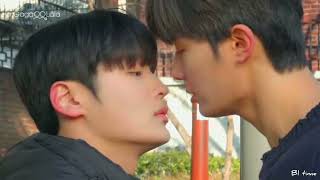 Blossom Campus _ Korean BL 💕 | Bl kiss screenshot 1