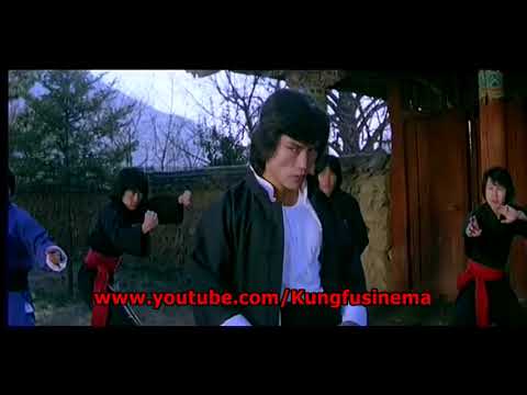 Karate Filmi - Kung Fu Kralı (The Dragon's Snake Fist (1979)) - Türkçe Dublaj, Tanıtım Videosu