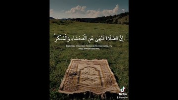 هيثم الدخين - سورة العنكبوت