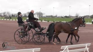 Johan Verhaege Bel Dressage Cai Lisieux 2017