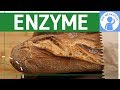 Enzyme als Biokatalysatoren einfach erklärt - Was sind Enzyme? Enzymaktivität - Stoffwechselbiologie Mp3 Song