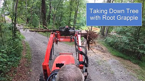 72-Taking Down Tree with Wicked Root Grapple by Everything Attachments