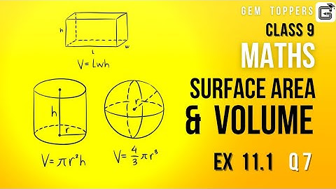 9 | Maths | Surface Area & Volume | Ex 11.1 | Q7