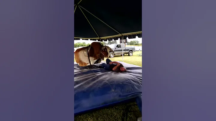 Frankie Travis riding a mechanical bull
