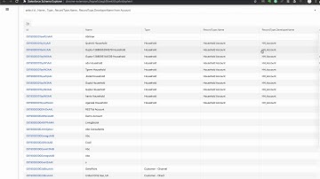 Salesforce Schema Browser - Chrome Extension