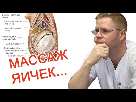 Массаж яичек / Доктор Черепанов