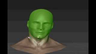 mudbox head muscle test