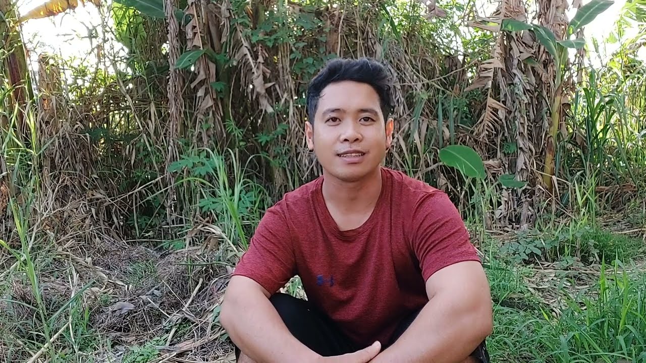 cho chim quốc ăn gì ? từ quốc tơ đến khi thành quốc mồi.