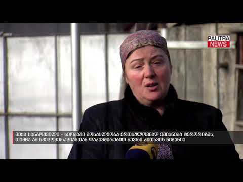 მექა ხანგოშვილი - ხეობაში მოსახლეობა ერთსულოვნად ემიჯნება ტერორიზმს