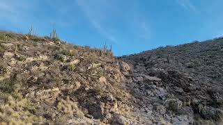 12/31/2022 Tanque Verde falls / Redington pass dispersed / East Tucson