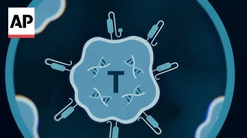 How CAR-T therapy is being used to battle autoimmune diseases