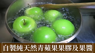 【農產加工】青蘋果果膠萃取ー各種果醬的萬用基底醬 