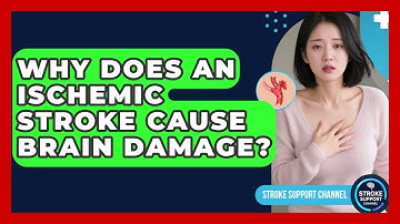 Why Does an Ischemic Stroke Cause Brain Damage? | Stroke Support Channel