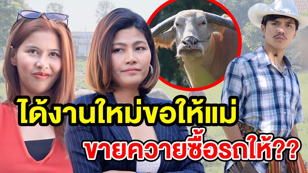 ได้งานใหม่ ขอให้แม่อายควาย - (ละครสั้น หนังสั้น) กล่องหนัง ฟิล์ม