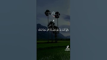 #quran #اكسبلور #المصحف #قرآن #قران_كريم #سورة_النمل #بلال_دربالي