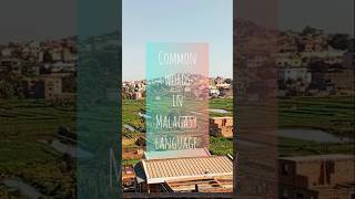 Learn Malagasy | Common words for everyday life #learning #malagasy #shorts
