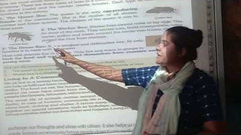 Class-5||EVS||Ch-2||Living together