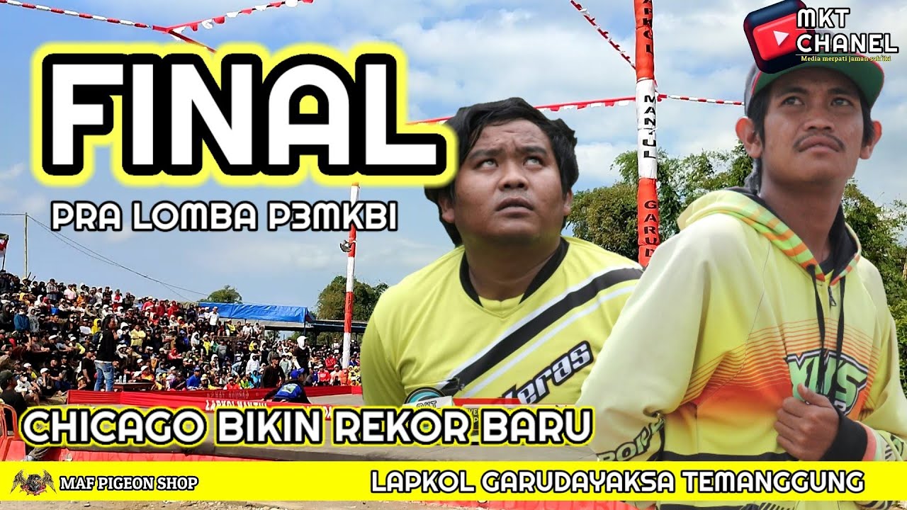 🔴BOMMM FIGHT‼️ФИНАЛЬНЫЙ ПРЕДСОРЕВНОВАТЕЛЬНЫЙ P3MKBI #3 | ЛАПКОЛ ГАРУДА ЯКСА | ТЕМАНГУНГ