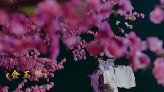 虞人 - 金玉夢《絕色小神醫》影視劇片尾曲【Music Video】
