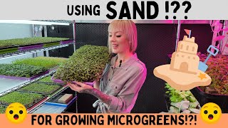 Grow Microgreens Using Sand!?