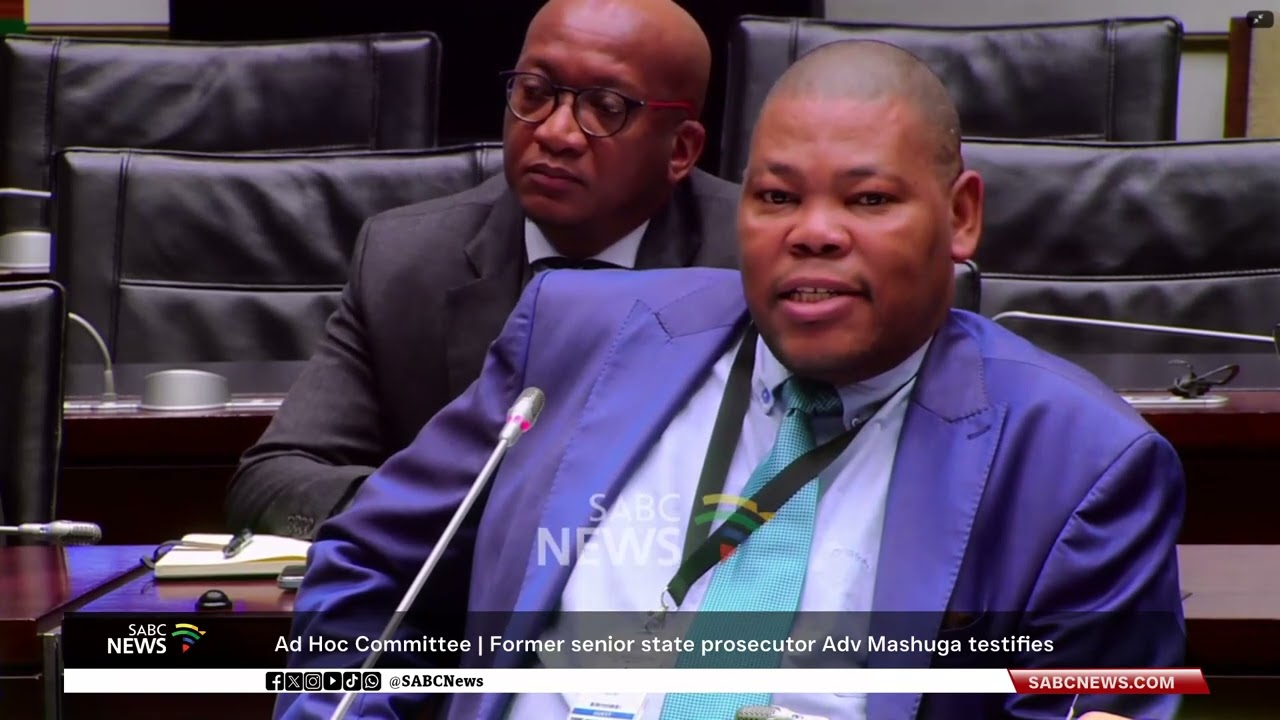 Ad Hoc Committee | Former senior state prosecutor Adv. Molatlhwa Mashuga testifies