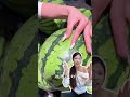 Teach you how to pick your dream melon in 10 seconds one pick accurate #Life hacks#Tips fo