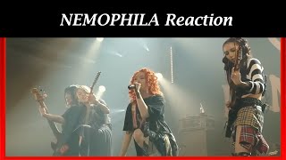 NEMOPHILA - Seize the Fate [Live Video] (Reaction)