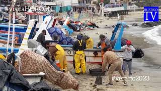 Caleta HORCÓN 5ta Región de Valparaiso Caleta Mágica Gracias por todo #verano2023