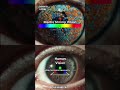Eyes are incredible but they're also almost blind #viral #facts #eyes #ytshorts #shorts #education