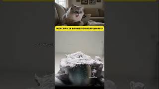 Cat Reacts to the Mercury Experiment Airlines Fear Most #safety #science #shorts