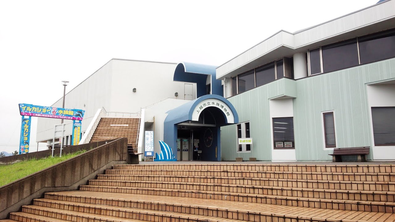 上越市立水族博物館　20140809