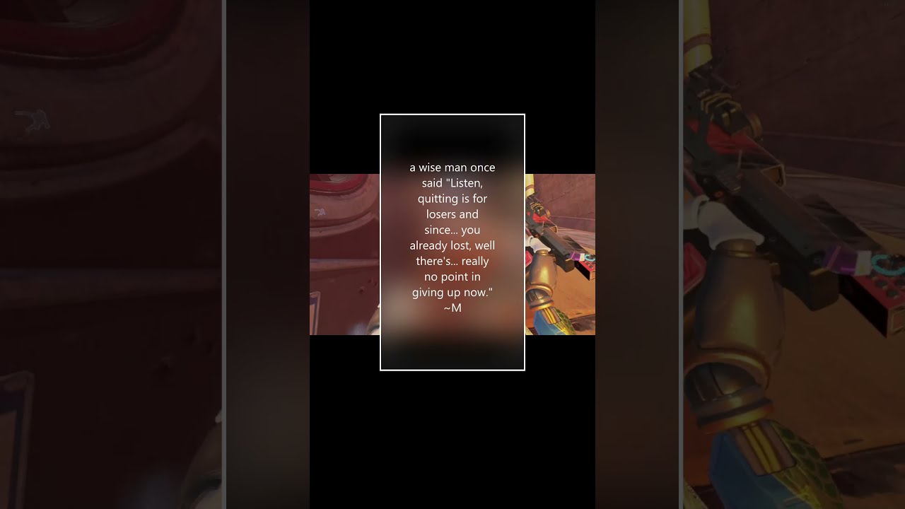 never give up / no bamboozles today